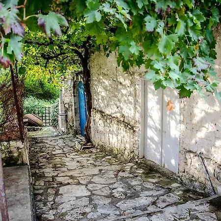 Летний дом Xenios Лофу